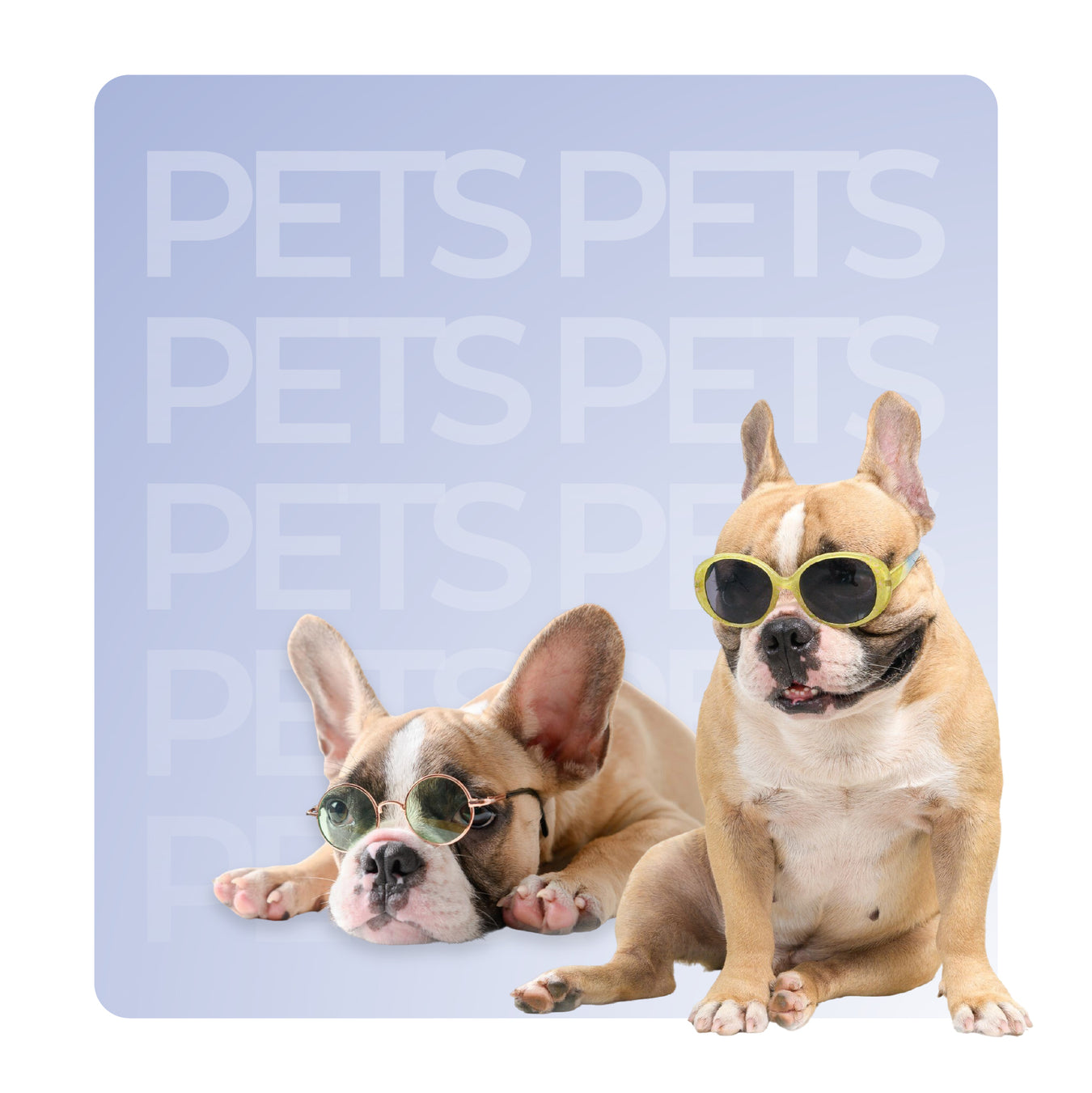 PETS
